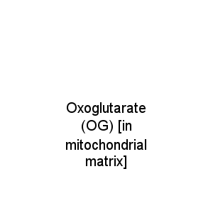 Oxoglutarate (OG) [in mitochondrial matrix]